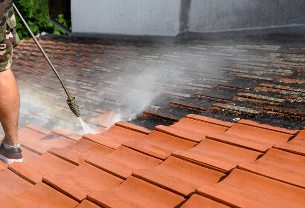 Best Residential Pressure Washing Services  in Oxford, PA
